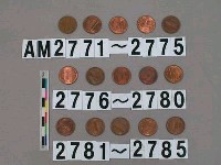 藏品(美國1分硬幣)的圖片